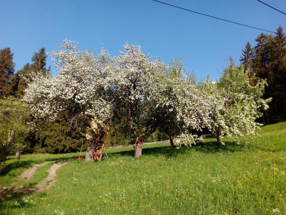 Silzerhof Διαμέρισμα Haiming Εξωτερικό φωτογραφία